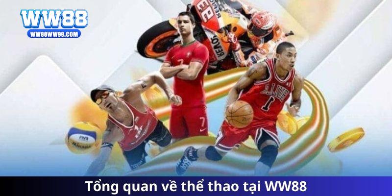 Tổng quan về thể thao tại WW88